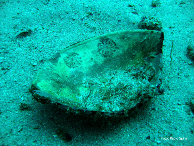 reperto archeologico subacqueo